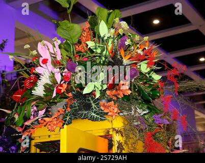 bei der Eröffnungsfeier der Blumenhalle auf der Grünen Woche 2025. *** Alla cerimonia di apertura della sala dei fiori alla settimana Verde 2025 Foto Stock