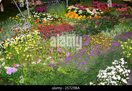 bei der Eröffnungsfeier der Blumenhalle auf der Grünen Woche 2025. *** Alla cerimonia di apertura della sala dei fiori alla settimana Verde 2025 Foto Stock