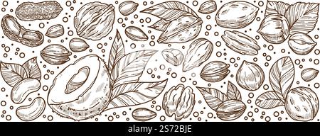 Noci nutrienti e sane, mandorle con foglie, prodotto crudo e tostato. Diting e alimenti con microelementi e nutrienti antiossidanti, contorno monocromatico dello schizzo, vettore incolore in stile piatto. Mandorle e noci, striscione nutrizionale e dietetico Illustrazione Vettoriale