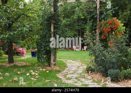 Sentiero in pietra ammiraglia attraverso un manto di legno coperto da Vitis arrampicata - viti che portano a sedie a sdraio rosa Adirondack in giardino rustico sul retro. Foto Stock