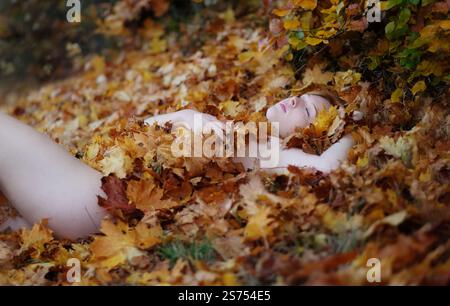 La giovane donna rossa giace pacificamente ricoperta di foglie autunnali, circondata da vibranti sfumature di arancione, giallo e marrone, che si fondono armoniosamente con na Foto Stock