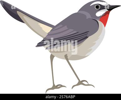 Uccello con piumaggio e piume colorate, ritratto isolato di un personaggio carino. Specie animali avicole e tipi di uccelli. Ornitologia e birdwatching, zoologia e natura selvaggia. Vettore in stile piatto. Uccello rapido, ritratto di animali aviari, specie selvatiche Illustrazione Vettoriale