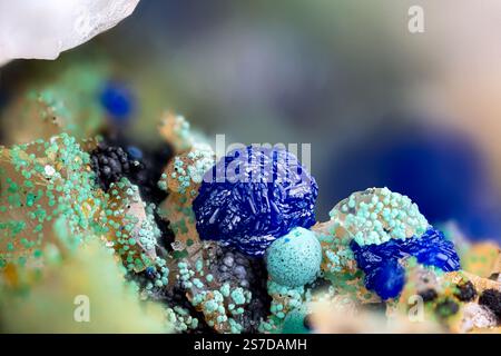Azurite blu con Malachite verde su quarzo. Esemplare della miniera di clara, oberwolfach, Germania. Micro Photography primi piani estremi. minerale per microscopio Foto Stock