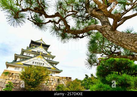 Il castello di Osaka è un castello giapponese situato a Chuo Ward, nella città di Osaka, in Giappone. È uno dei castelli più famosi del Giappone. Foto Stock
