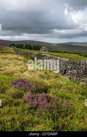 "Wood's Cabin" sulle brughiere sopra Glossop nel nord del Derbyshire, in Inghilterra. Foto Stock