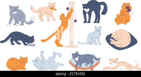 Personaggi dei gatti dei cartoni animati. Carino, vari comportamenti, gatto divertente. I gattini di pelliccia giocano, dormono e mangiano. Animali domestici scherzosi isolati in pose diverse, personaggi vettoriali di comportamento dei gatti illustrazione della posa degli animali. Personaggi dei gatti dei cartoni animati. Carino, vari comportamenti, gatto divertente. I gattini di pelliccia giocano, dormono e mangiano. Cuccioli scherzosi isolati in pose diverse, personaggi vettoriali Illustrazione Vettoriale