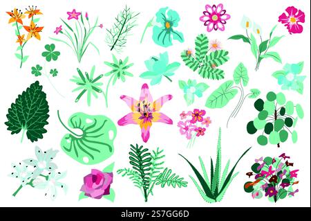 Set isolato di fiori e piante. Gigli, foglie verdi, aloe, fiori selvatici in fiore. Giardino fiorito e vegetazione selvaggia. Fascio di elementi floreali. Illustrazione vettoriale in design disegnato a mano Illustrazione Vettoriale