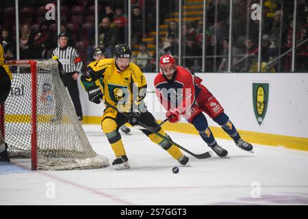 Vindico Arena, Cardiff, Regno Unito. 18 gennaio 2025. IIHF Continental Cup Ice Hockey, Bruleurs de Loups contro GKS Katowice; Santeri Koponen di GKS Katowice Credit: Action Plus Sports/Alamy Live News Foto Stock