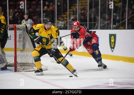 Vindico Arena, Cardiff, Regno Unito. 18 gennaio 2025. IIHF Continental Cup Ice Hockey, Bruleurs de Loups contro GKS Katowice; Santeri Koponen di GKS Katowice Credit: Action Plus Sports/Alamy Live News Foto Stock