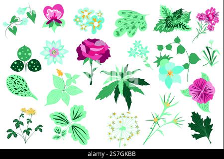 Set isolato di fiori e piante. Rosa, foglie verdi, fiori selvatici in fiore, piante in fiore. Decorazioni botaniche con giardino e vegetazione selvaggia. Fascio di elementi floreali. Illustrazione vettoriale in design disegnato a mano Illustrazione Vettoriale
