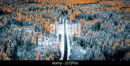 Una vista aerea panoramica di un paesaggio di foresta innevata con vivaci cime degli alberi arancioni e una strada tortuosa Foto Stock