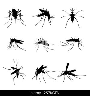 Silhouette di zanzara. Insetti volanti sciami, morso pericoloso zanzare proboscide infezione da virus malaria, dengue, zika, nero piccolo gnat vettore isolato set. Silhouette di zanzara. Insetti volanti sciame, morso pericoloso zanzare proboscide infezione da virus malaria, dengue, nero gnat vettore set Illustrazione Vettoriale