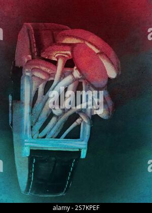 Collage concettuale di un orologio da polso con funghi Foto Stock