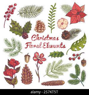 Set floreale natalizio. Decorazioni natalizie con fiori, elementi ad acquerello con rami di piante tradizionali vintage e frutti di bosco vettoriali in stile natalizio invernale. Set floreale natalizio. Decorazioni natalizie con fiori, elementi ad acquerello con rami di piante tradizionali d'epoca e set vettoriale di bacche Illustrazione Vettoriale