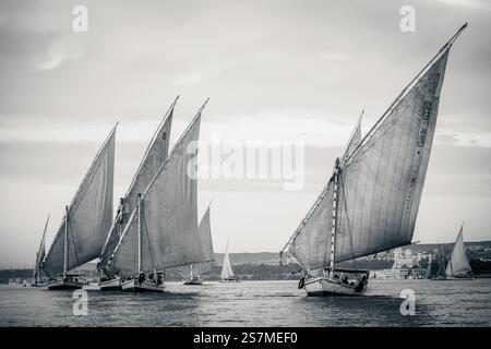 Feluca navigava sul fiume nilo vicino ad Assuan, Egitto Foto Stock