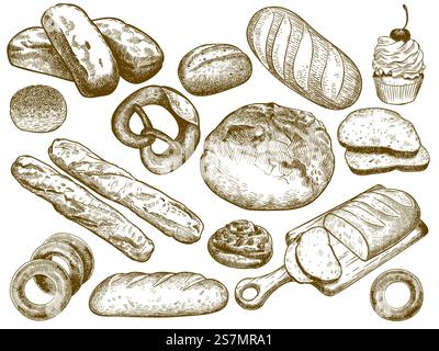 Pane fresco estratto a mano. Sesamo Bun, pretzel e pane francese. Disegnare il set di illustrazioni vettoriali del pane da forno. Pacchetto di disegni monocromatici di gustosi prodotti da forno fatti in casa in elegante stile incisione. Pane fresco estratto a mano. Sesamo Bun, pretzel e pane francese. Disegnare il set di illustrazioni vettoriali del pane da forno Illustrazione Vettoriale