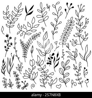 Set di elementi floreali vettoriali - foglie e rami. Collezione di illustrazioni botaniche disegnate a mano. Ideale per elementi di design per matrimoni, biglietti d'invito, cornici, bordi, ghirlande. Set di elementi floreali vettoriali - foglie e rami. Collezione di illustrazioni botaniche disegnate a mano. Ideale per elementi di design per matrimoni, biglietti d'invito, cornici, bordi, ghirlande. Illustrazione Vettoriale