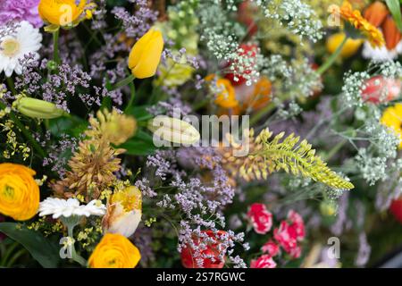 Un vivace primo piano di fiori colorati e vegetazione in fiore con tulipani e margherite Foto Stock