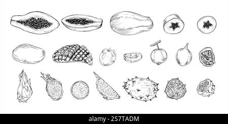 Illustrazione vettoriale in bianco e nero con mix aromatico di frutta tropicale. Papaya, kiwano, carambola, maracuja, Pitahaya e mango monocromatici Illustrazione Vettoriale