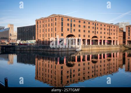 Magazzini del complesso Royal Albert Dock a Liverpool, Merseyside, Inghilterra, Foto Stock