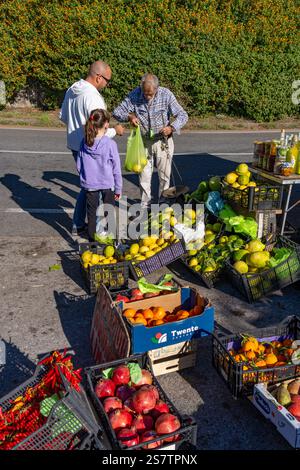 Un venditore ambulante pesa i limoni con una bilancia lungo la strada costiera amalfitana vicino a Positano, Italia. Foto Stock