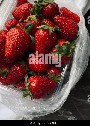 sorseggiando un nutriente fiocco di frullato tropicale Foto Stock