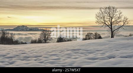 Vista da Zugerberg sul mare di nebbia alla luce del sole che tramonta, dietro il Pilatus innevato, Canton Zug, Svizzera, Europa Foto Stock