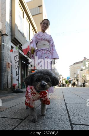 Una donna giapponese che cammina il suo carino cane da compagnia Foto Stock