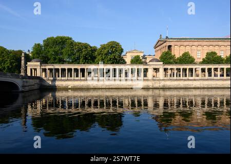 Berlino. Germania. Museum Island, Museumsinsel, alte Nationalgalerie e colonnato di fronte al fiume Sprea. Foto Stock