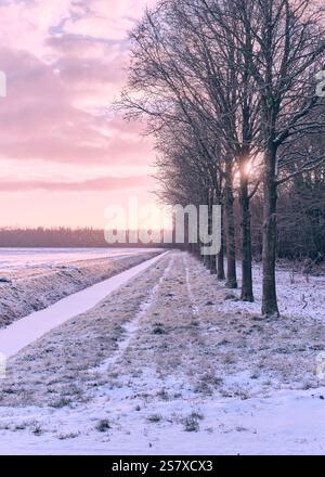 Un tranquillo paesaggio invernale a Wijster, Drenthe, caratterizzato da una linea di alberi ghiacciati, campi e un fosso ghiacciato sotto un cielo parzialmente nuvoloso. Foto Stock