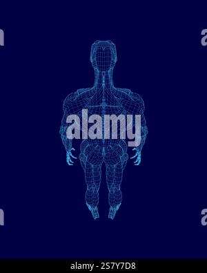 Immagine generata al computer di un corpo umano con sfondo blu. Il corpo è raffigurato in modo stilizzato e astratto, con particolare attenzione ai muscoli A. Illustrazione Vettoriale