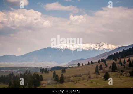 Un tranquillo paesaggio primaverile che mostra in lontananza i Monti Bucegi, con vette innevate che si innalzano sopra lussureggianti campi verdi. La scena è co Foto Stock