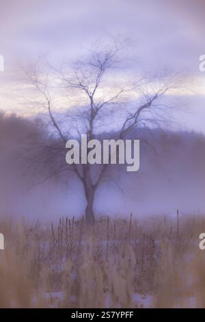 Purple Foggy Sunset Over Upstate New York Farm Landscape Foto Stock