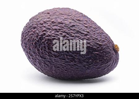 Hass avocado Fruit (Persea americana CV. Hass), Lauraceae. Albero da frutto, sempreverde. varietà di avocado. Foto Stock
