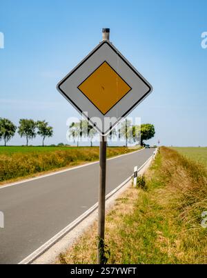 Un cartello giallo e bianco si trova su una strada con un campo verde sullo sfondo. Il cartello è a forma di diamante con una freccia nera rivolta verso destra Foto Stock