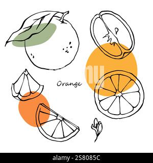 Set disegnato a mano di arance, sezioni e foglie con contorno nero con macchie di colore astratte. Illustrazione Vettoriale