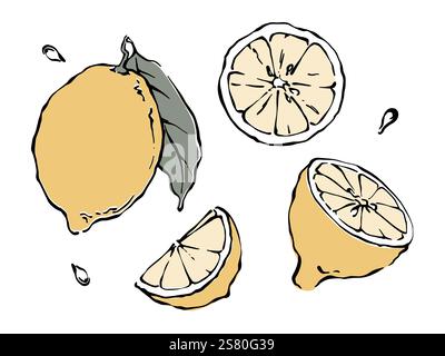 Limone giallo con foglia, metà limone e fetta di elementi da disegno su sfondo bianco Illustrazione Vettoriale