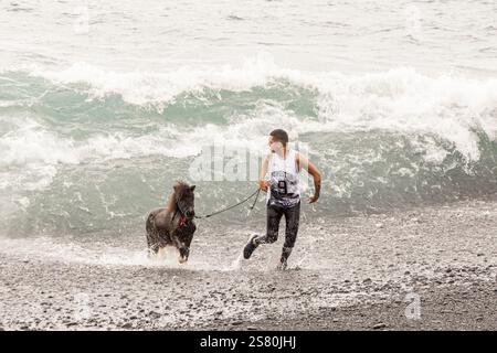 Playa de Enramada, la Caleta, Costa Adeje, Tenerife, Isole Canarie, Spagna. 20 gennaio 2025. Festa annuale di San Sebastián in cui gli animali sono benedetti e soprattutto i cavalli vengono portati in spiaggia dove vengono cavalcati in mare. Crediti © Phil Crean, Alamy crediti: Phil Crean A/Alamy Live News Foto Stock