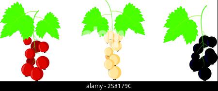 Mucchio di ribes bianco rosso nero. Frutti di bosco maturi freschi. Raccolta estiva del giardino. Cibo vitaminico biologico vegano sano Illustrazione Vettoriale