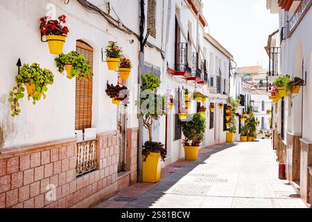 Estepona, Spagna. Una strada stretta nella città vecchia fiancheggiata da case dipinte di bianco adornate da vasi di fiori colorati e fiori luminosi Foto Stock