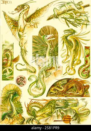 Anton Seder - l'animale nelle arti decorative - intricati disegni Art Nouveau - 1896 - Draghi Foto Stock