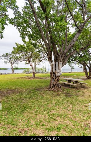Vista del Biscayne Bay National Park dal Visitors Center a gennaio Foto Stock