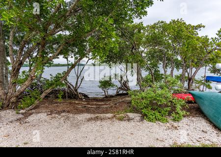 Vista del Biscayne Bay National Park dal Visitors Center a gennaio Foto Stock