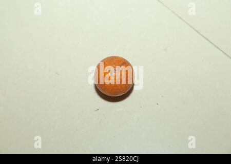 Piccolo ma potente, Hocky Ball. Foto Stock