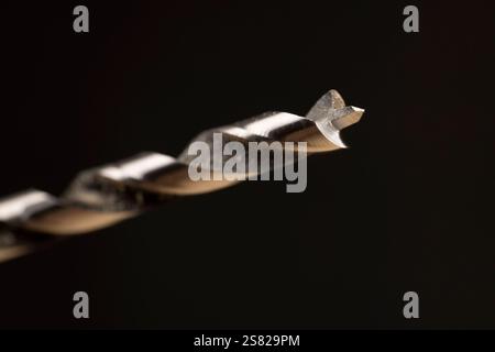 utilizzato per lavorare con le tavole di pino, punta in acciaio in segatura molto piccola su uno sfondo scuro, primo piano Foto Stock