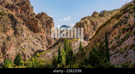 Paesaggio roccioso con alberi vicino a Granada con vista sulle verdure e sulle montagne Foto Stock