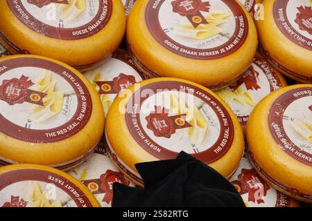 Formaggio olandese sul mercato del formaggio di Alkmaar, Paesi Bassi Foto Stock