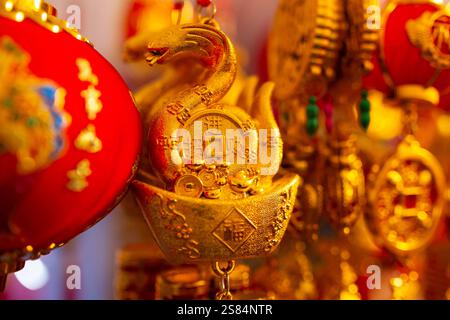 Una fotografia del fascino dei serpenti per il Capodanno cinese con uno sfondo colorato Foto Stock
