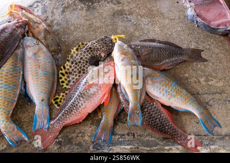 Fishmarket a Victoria, Mahé, Seychelles Foto Stock