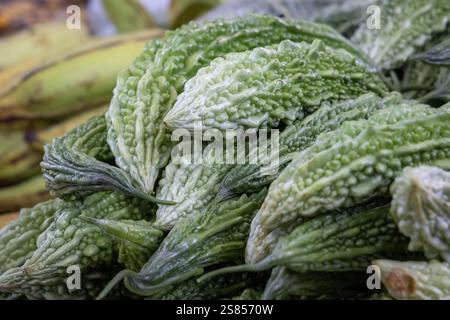 Meloni amari freschi in vendita sul mercato a Victoriia, Mahé, Seychelles Foto Stock